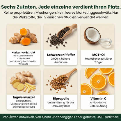 Reines Kurkuma-Curcumin 95 (1.000 mg)