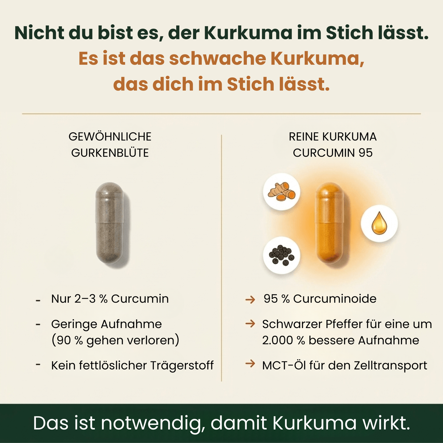 Reines Kurkuma-Curcumin 95 (1.000 mg)