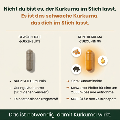 Reines Kurkuma-Curcumin 95 (1.000 mg)