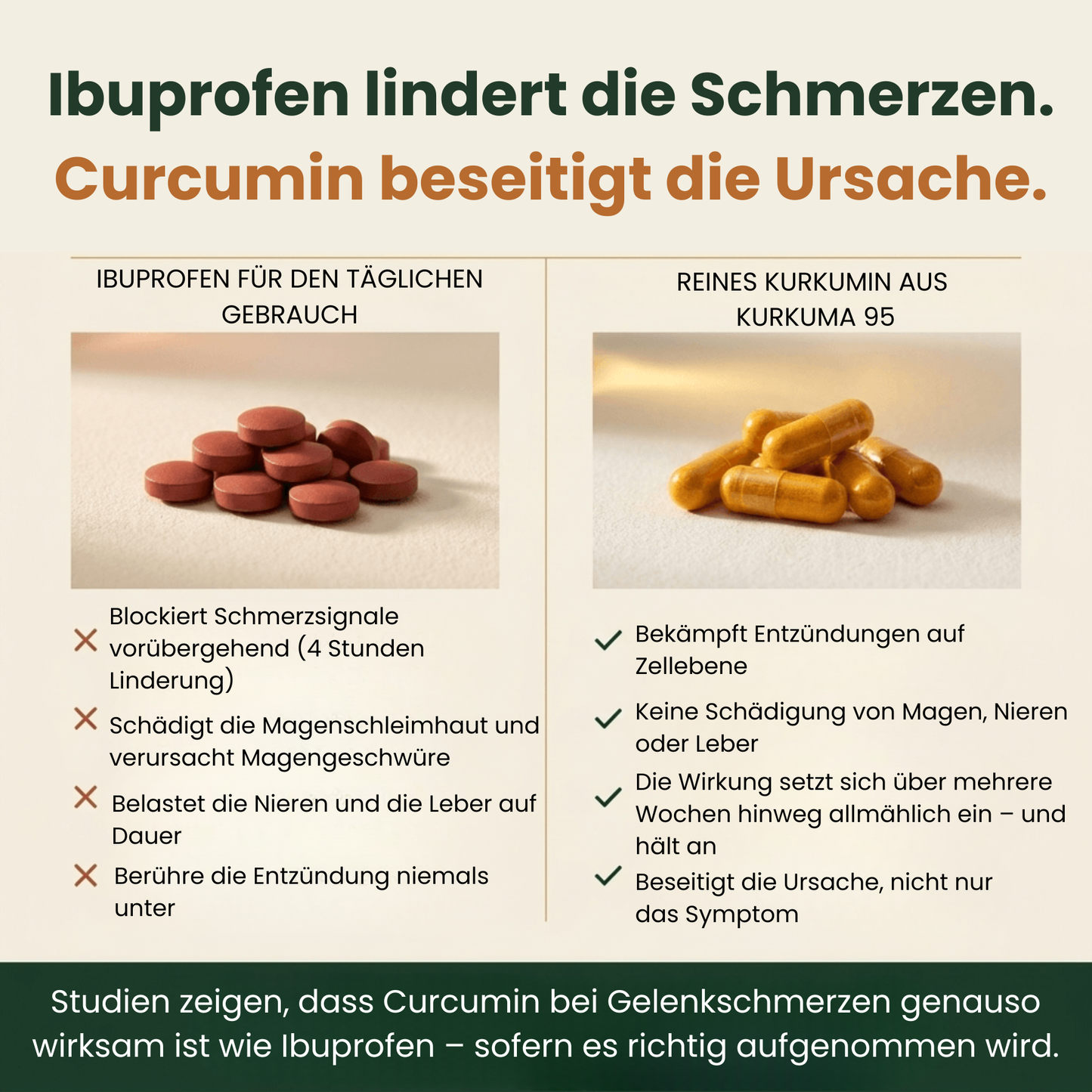 Reines Kurkuma-Curcumin 95 (1.000 mg)