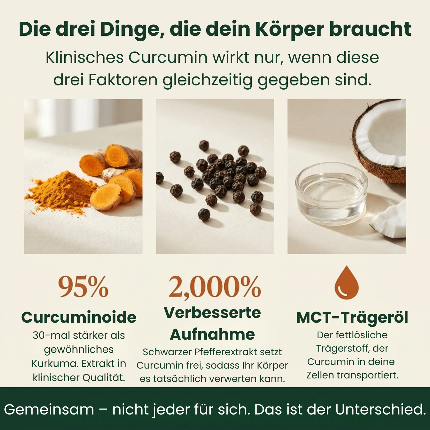 Reines Kurkuma-Curcumin 95 (1.000 mg)